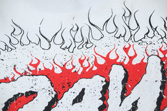 HELLSTAR Howlin Rays Crew T-Shirt